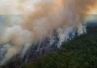 Rondônia diante do calor, da seca e do fogo: o que a ciência já sabe e o que cada pessoa pode fazer