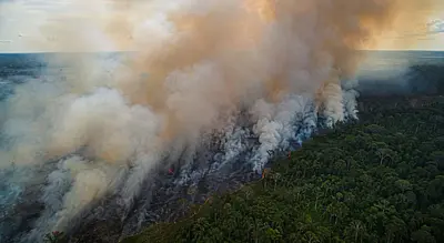 Rondônia diante do calor, da seca e do fogo: o que a ciência já sabe e o que cada pessoa pode fazer