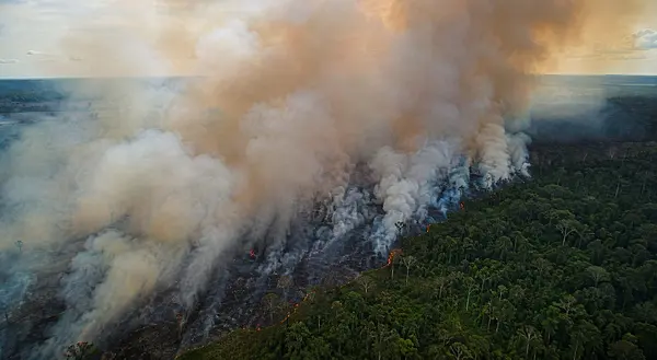 Rondônia diante do calor, da seca e do fogo: o que a ciência já sabe e o que cada pessoa pode fazer